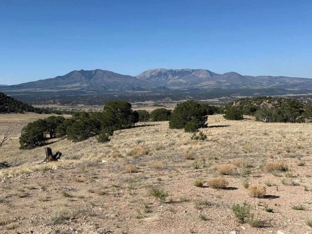 26 Turkey Creek Ranch, Gardner, CO 81040