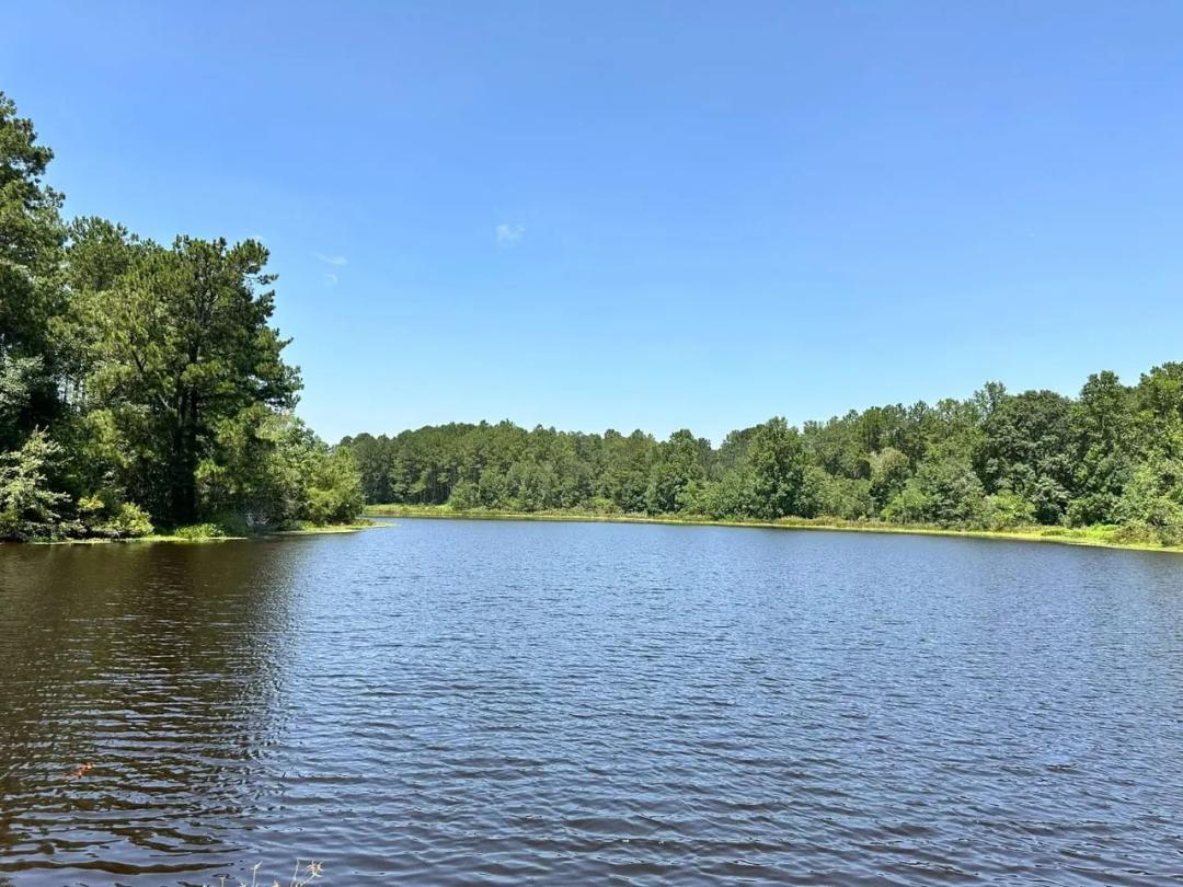 29.00 Acres at 0b Sam Smith Road