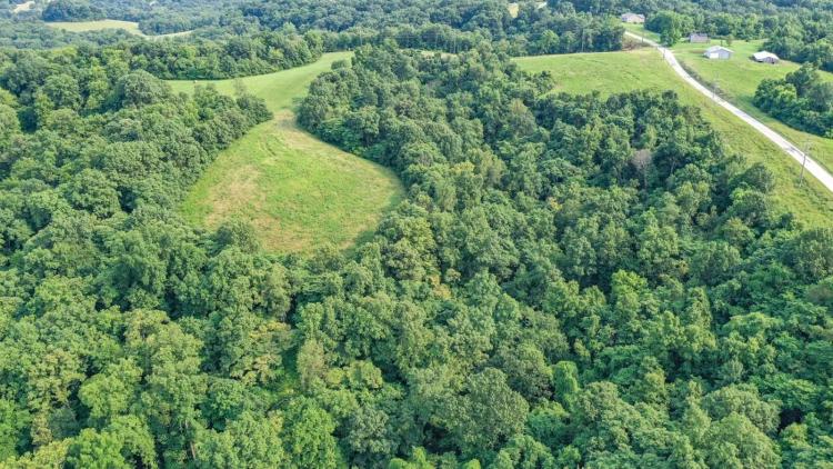 9.57 Acres on Plummer Hill Rd. Calhoun County