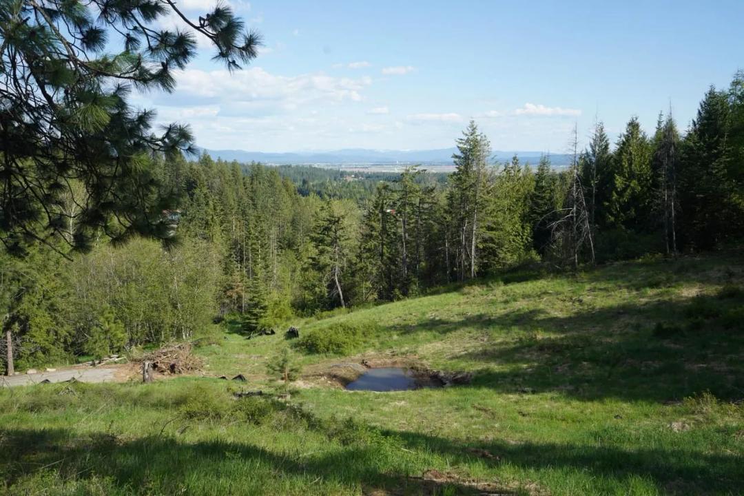 5 Private Acres w/ Views – Septic In, Driveway Done – 8 Min to Rathdrum!