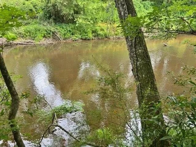 4 acres of Magee's Creek Frontage ! Lexie/ Walthall County/ MS 