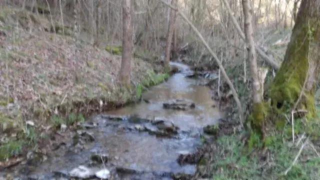 35.68 AC W/ POND, CREEK, ROCK FORMATIONS, VIEWS, BUILDING SITE, GREAT HUNTING