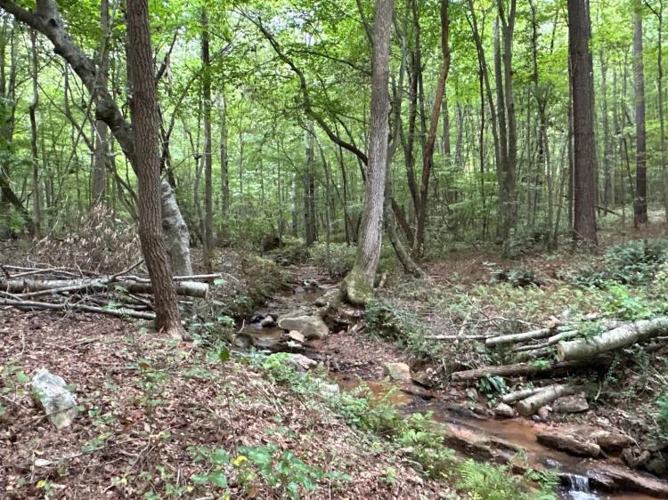 32.4 AC Estavanko Road