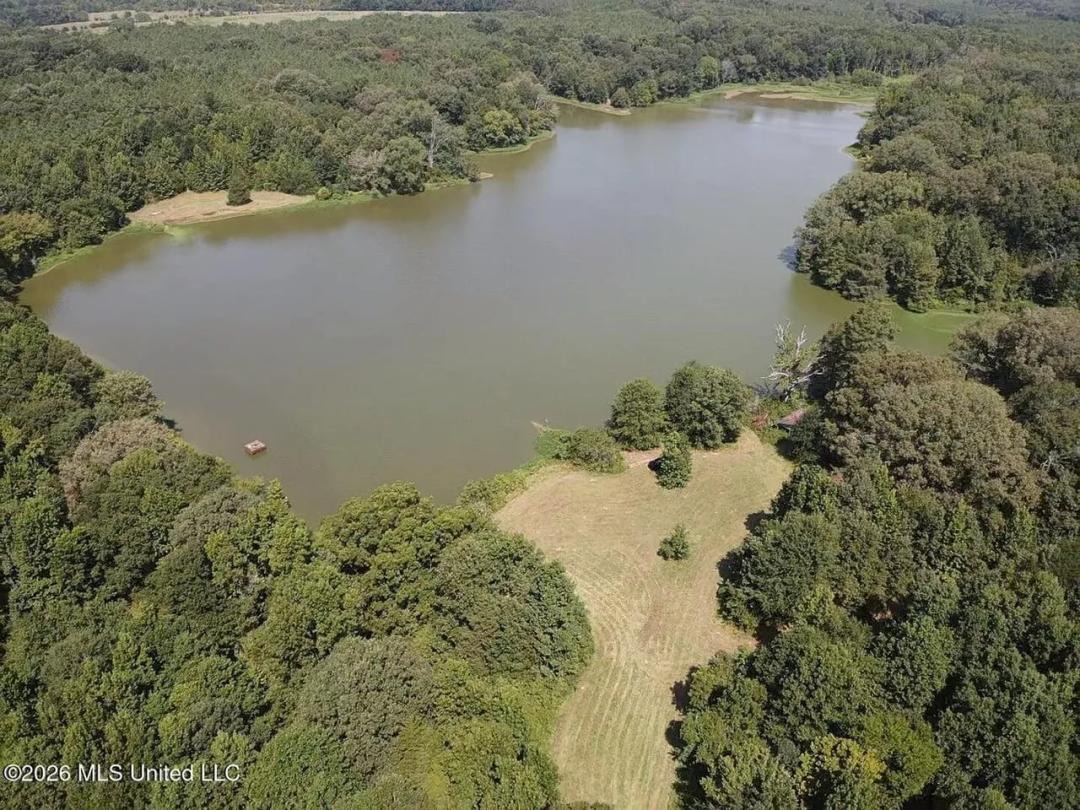 81-Acre Timber Property on 20-Acre Lake in Vaughan, MS