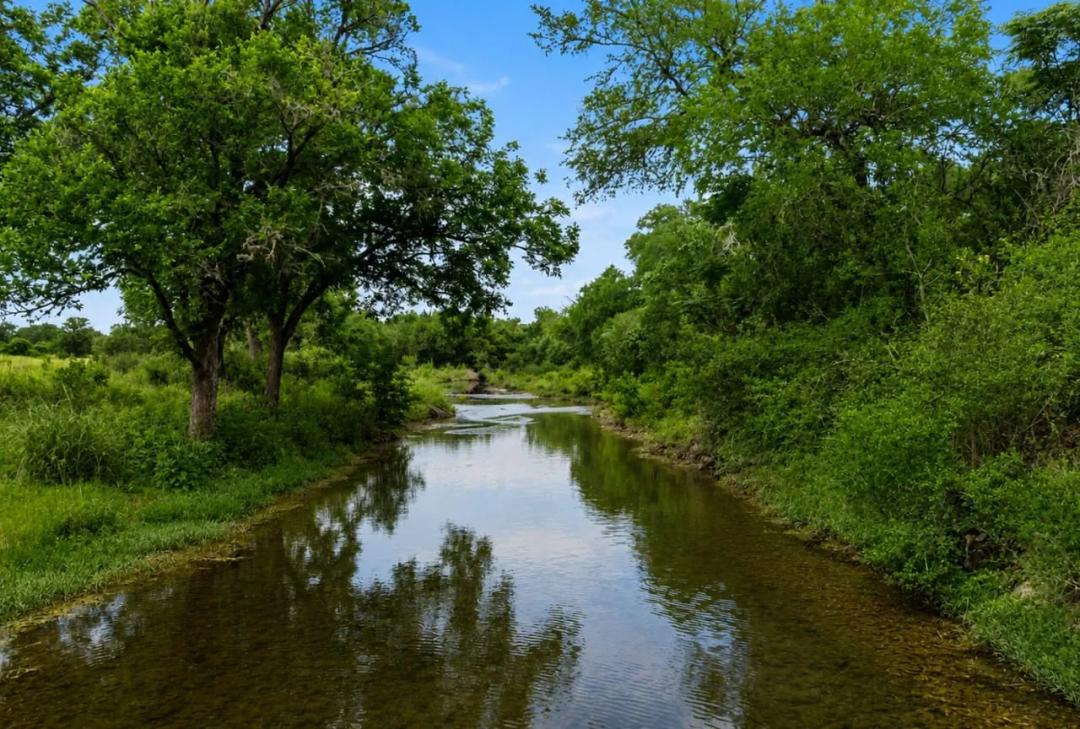 Unrestricted Bear Creek Acreage, 20 Minutes from Downtown Austin