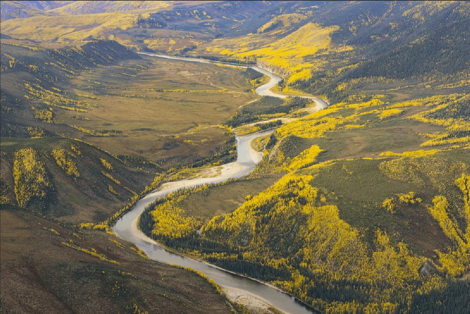 87190828-9