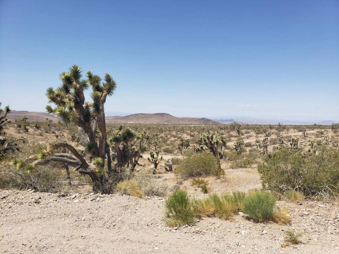 OVER 2 ACRES WITH INCREDIBLE VIEWS