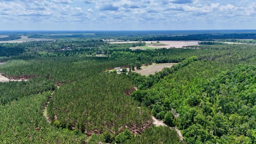 Turnpike Creek Preserve