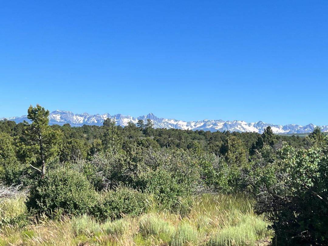 38 acres Wildcat Canyon/ Goverment Springs
