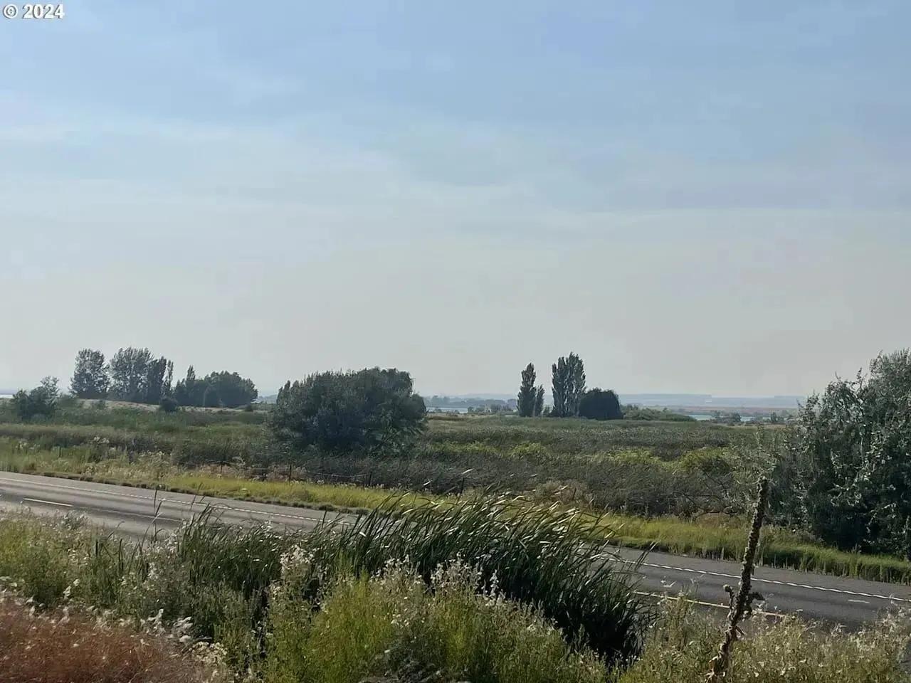87279832-17