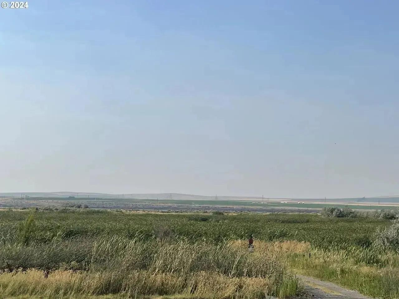 87279832-19