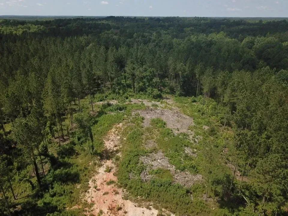 87287648-20