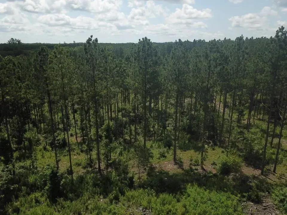 87287648-26