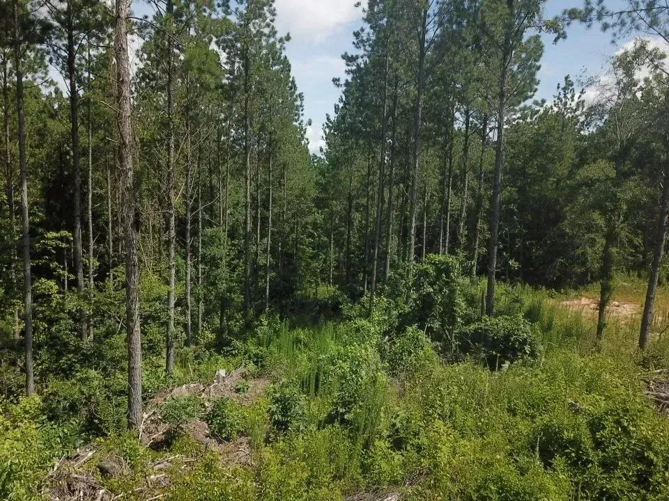 87287648-3