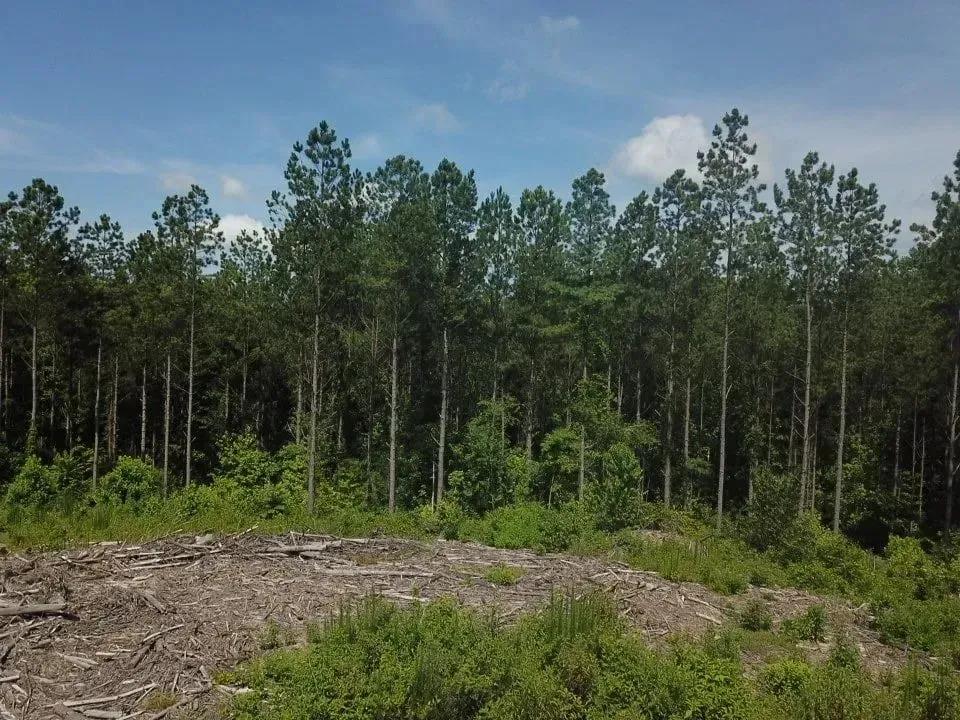 87287648-31