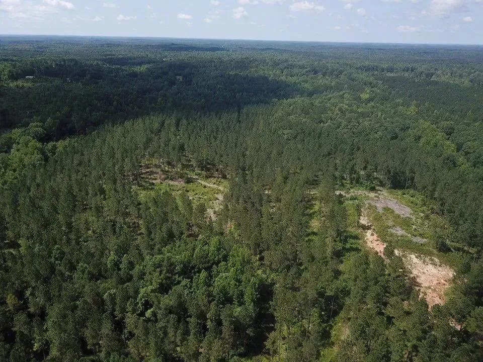 87287648-8