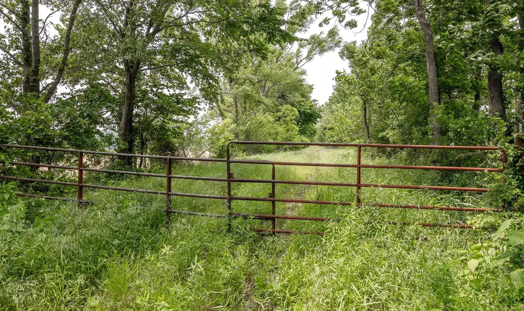 87338084-29