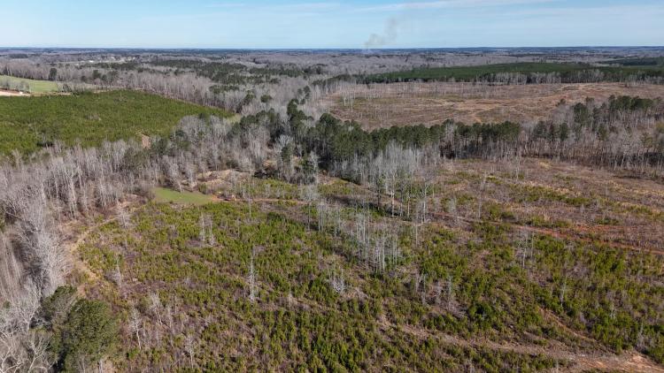 Sportsman Tract - Deer and Turkey