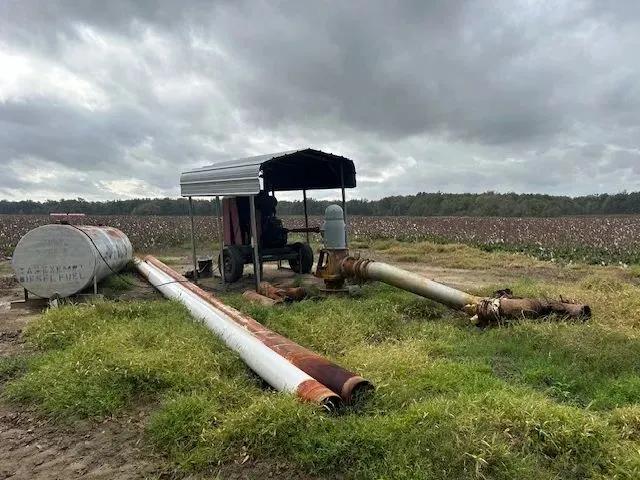87367694-31