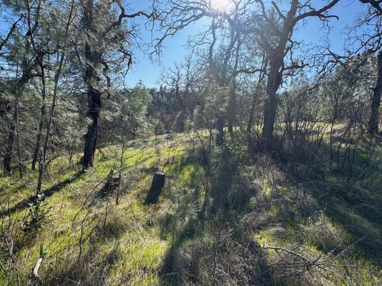 1.63 Acres at 7285 Bluebird Rd