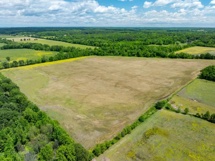 141 +/- Row Crop Acres, 2 Wells with underground and risers, Craighead County, Jonesboro, Arkansas