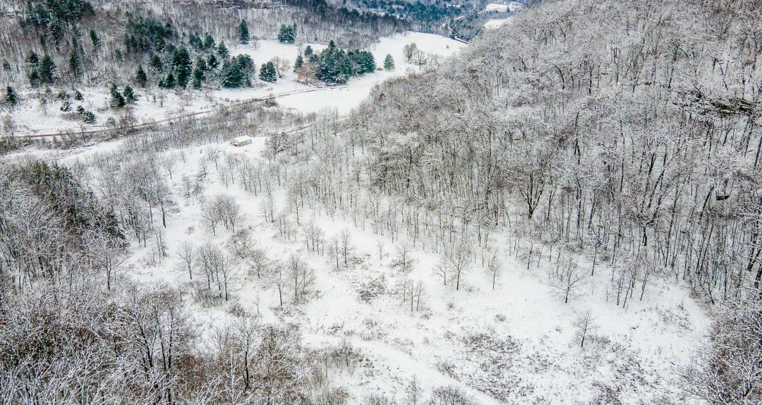 Richland County, WI 68 Acres(SALE PENDING)