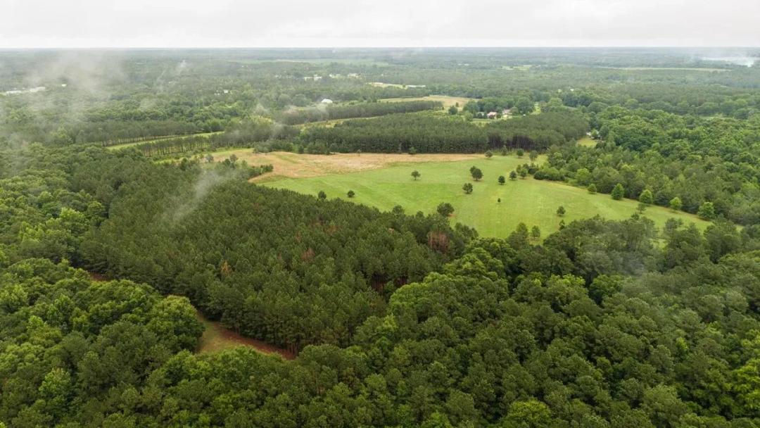 75.43 Acres in Sumter County, GA
