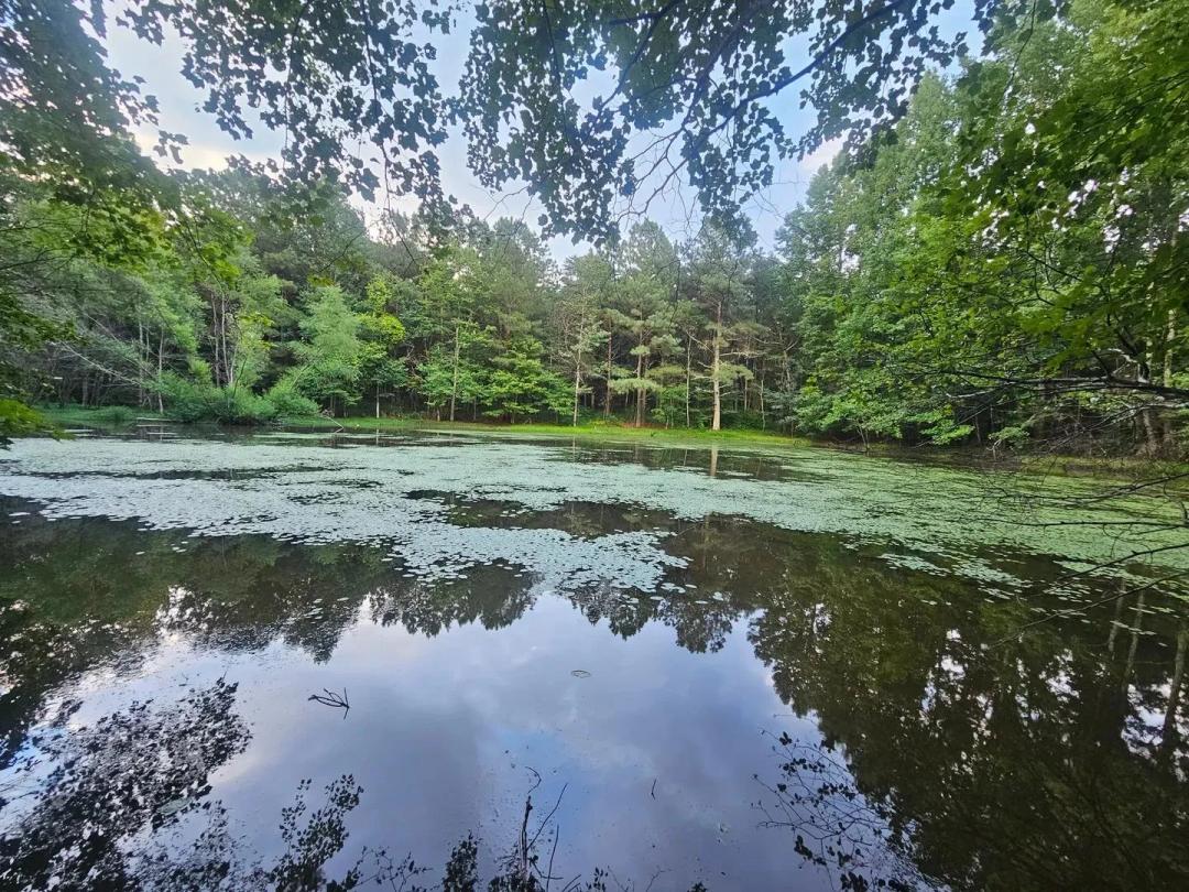 Mentone Hideaway 7ac.