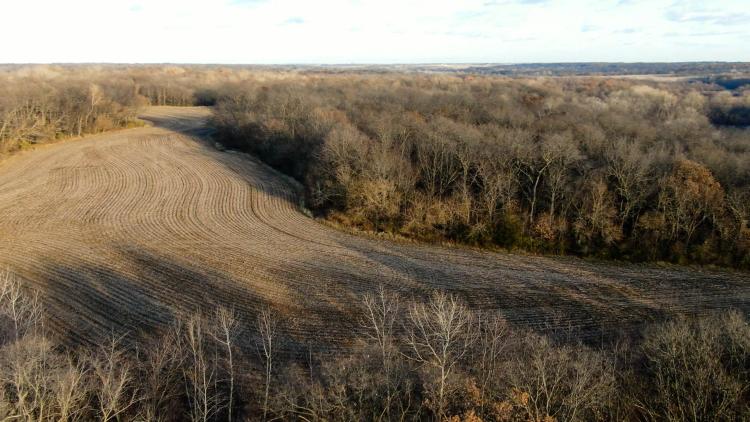 Rock Island County, Illinois 80 Acres For Sale(SALE PENDING)