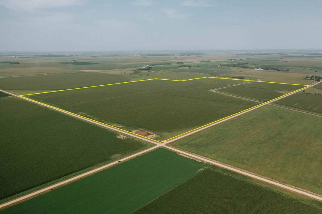 Cozad Irrigated 200