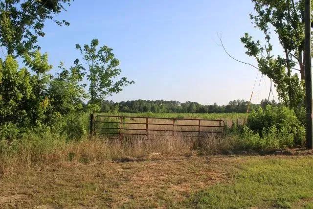Mallard Drive Tract