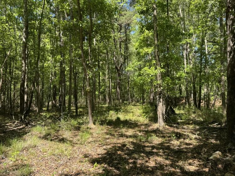 ±20 Acres of seclusion