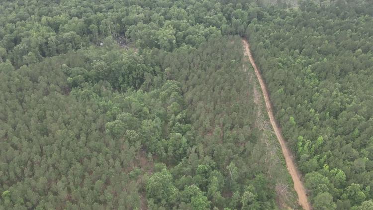 40 Acres in Claiborne Parish, LA 
