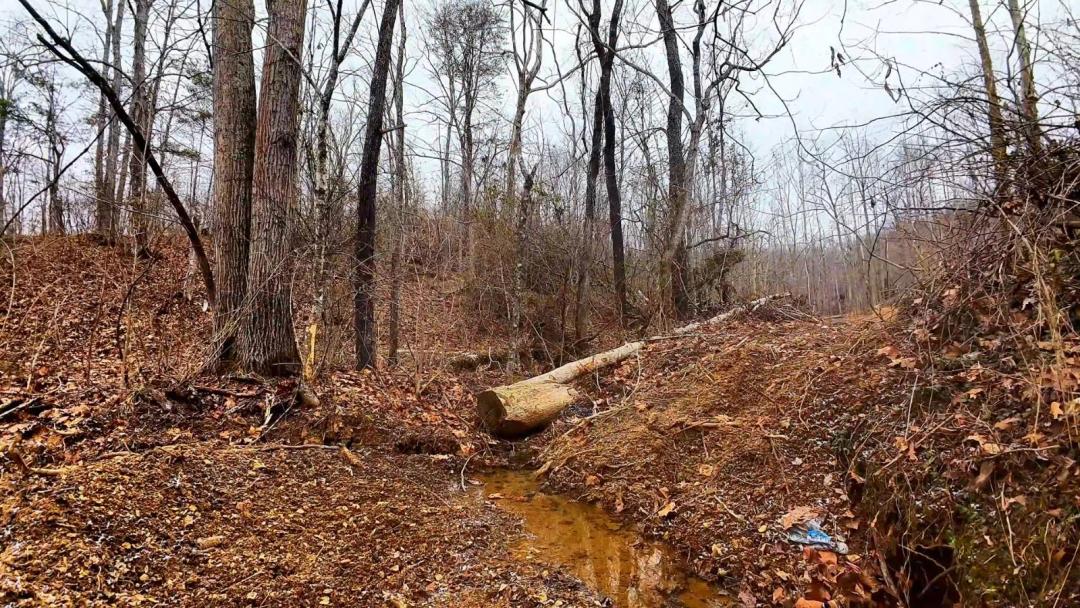 Land for Sale in Lawrence County