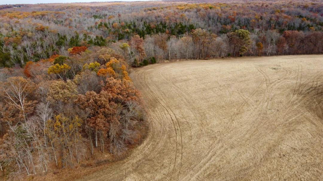 27.54 Acres at 0000 Polston Ln