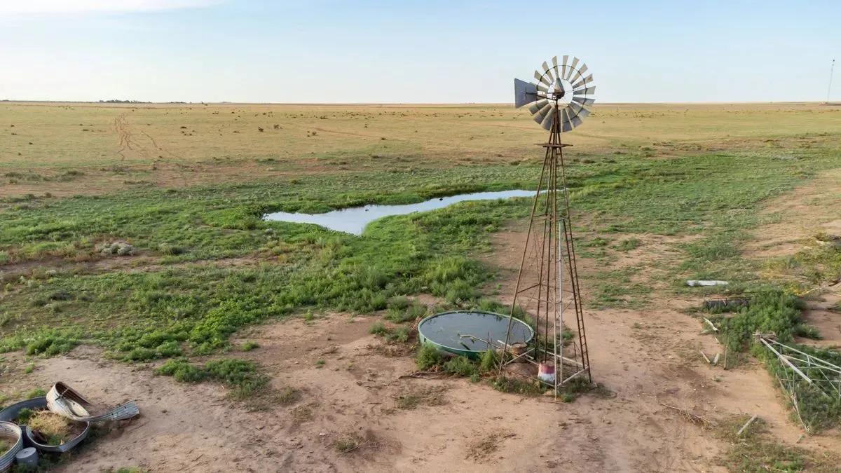87659145-26