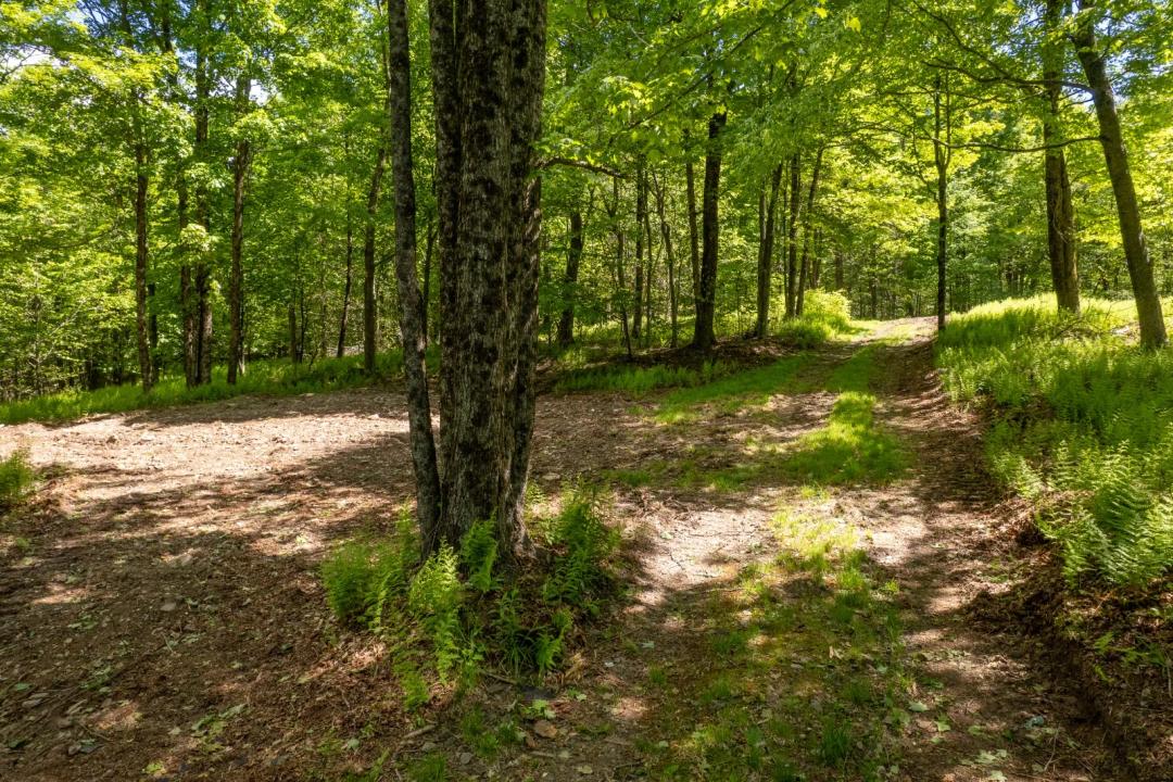 Mountain Top Land on Buck View Drive