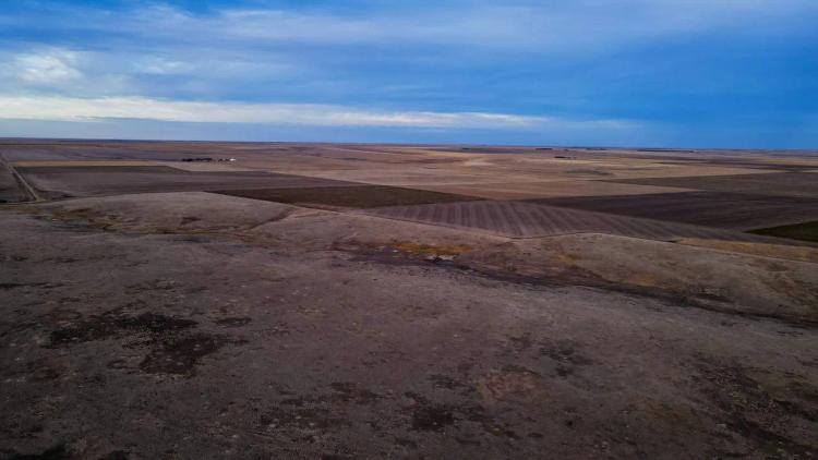 90 Acre Cropland (Logan County)