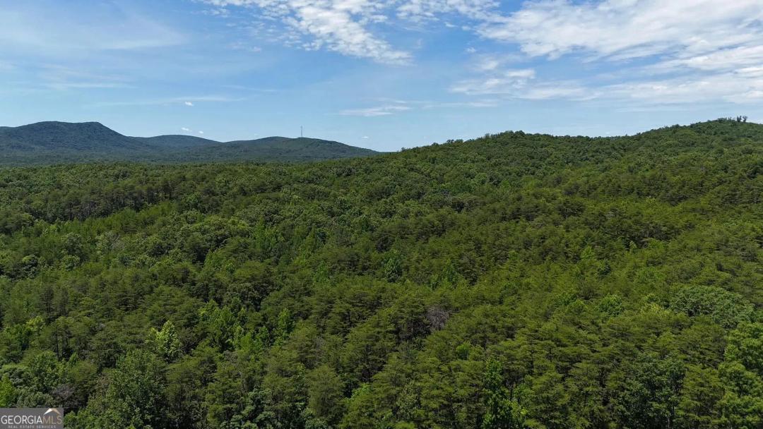 47.09 Acres of Land for Sale in Rydal, GA