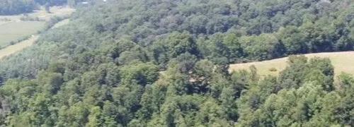 20.00 Acres at 5288C Arvin Rd