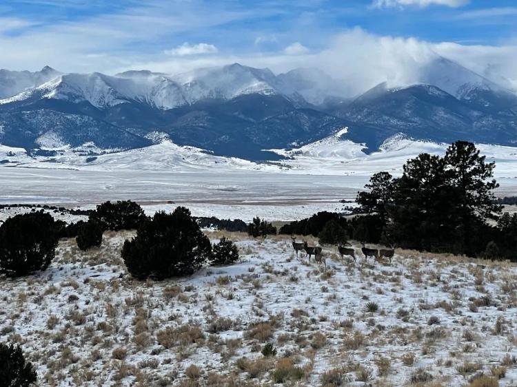 Harold G. Vickerman Ranch