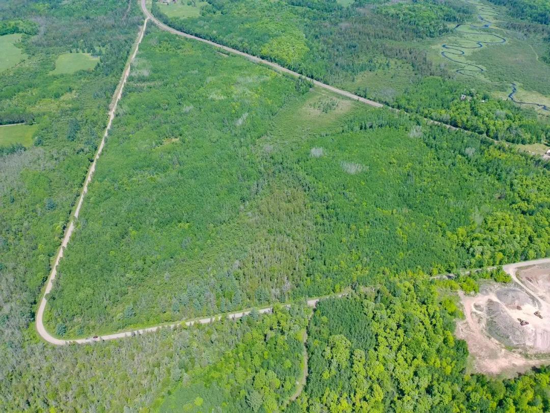 55 Acres of Hunting Land in Ashland County, WI for Sale