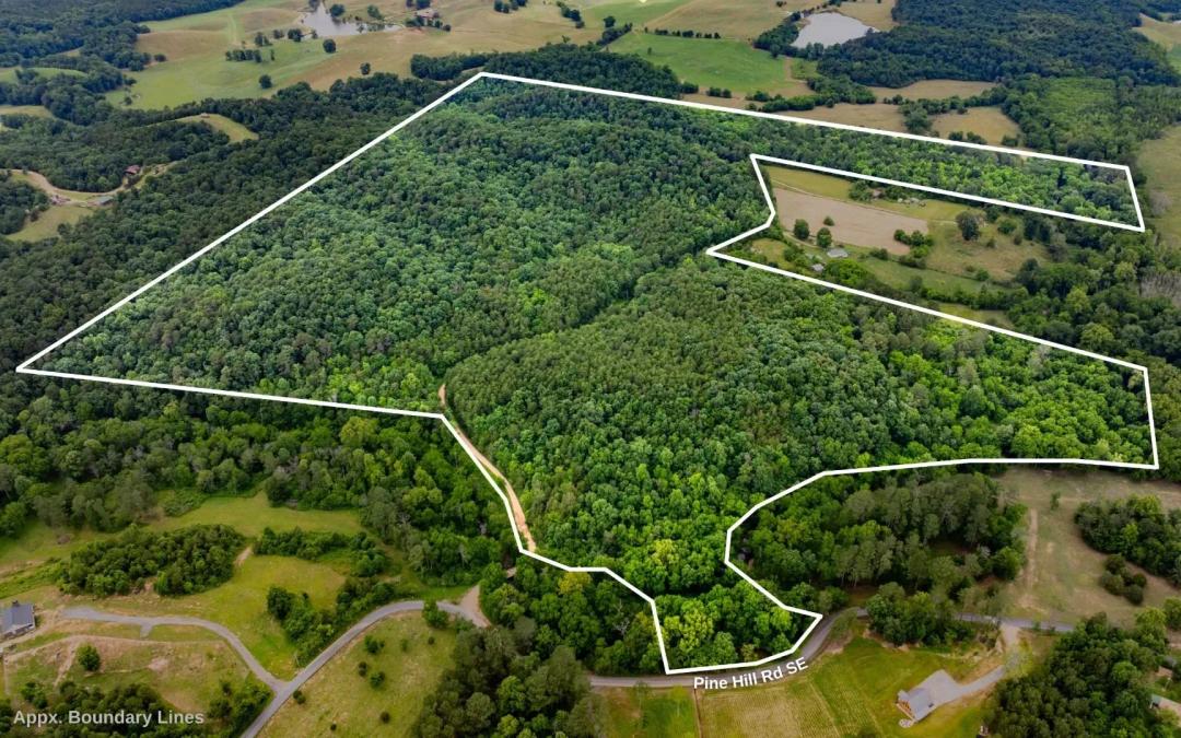 116.93 +/- ACRES of beautiful, wooded land in middle Georgia! 