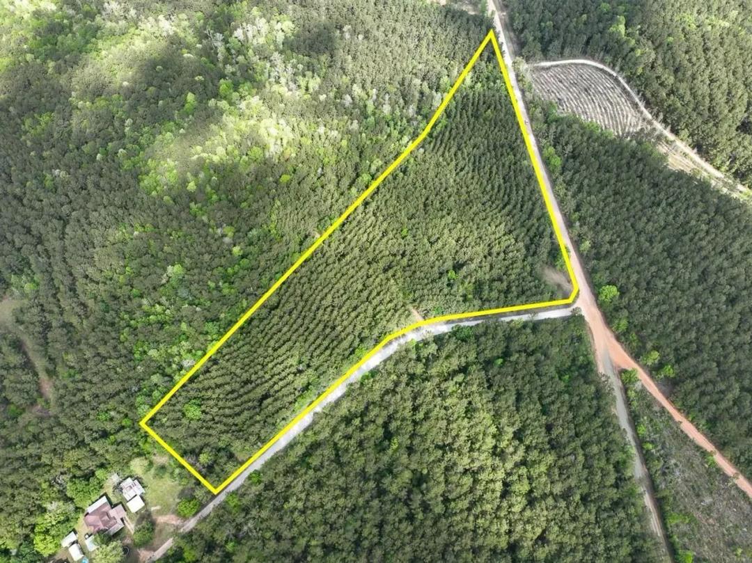 11 Acres | T-1 | CR 4300 | SN6327