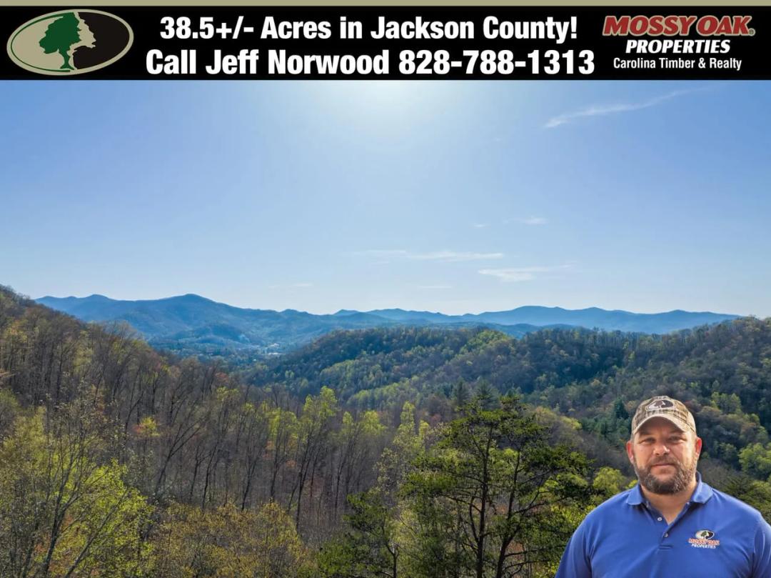 38+/- Acres of Unrestricted Mountain Land!