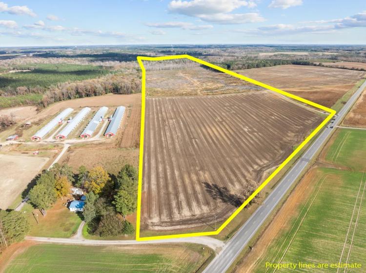 Vacant Lot for Sale Pinetops, NC - 108 AC