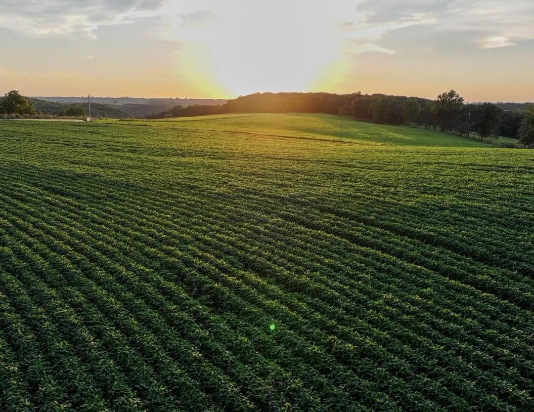 Listing #19711 - 40.22 acres in Vernon County, WI