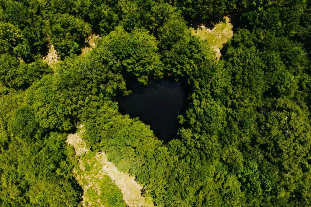 35 Acres in Wayne County, MS 