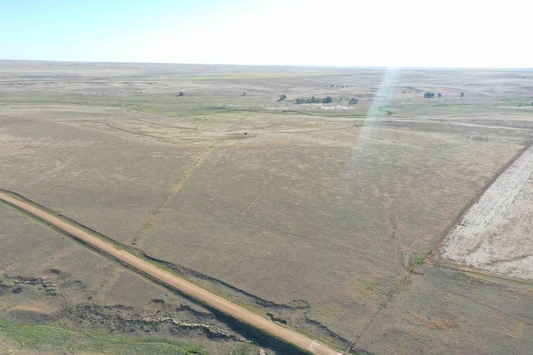 Colorado High Plains 40