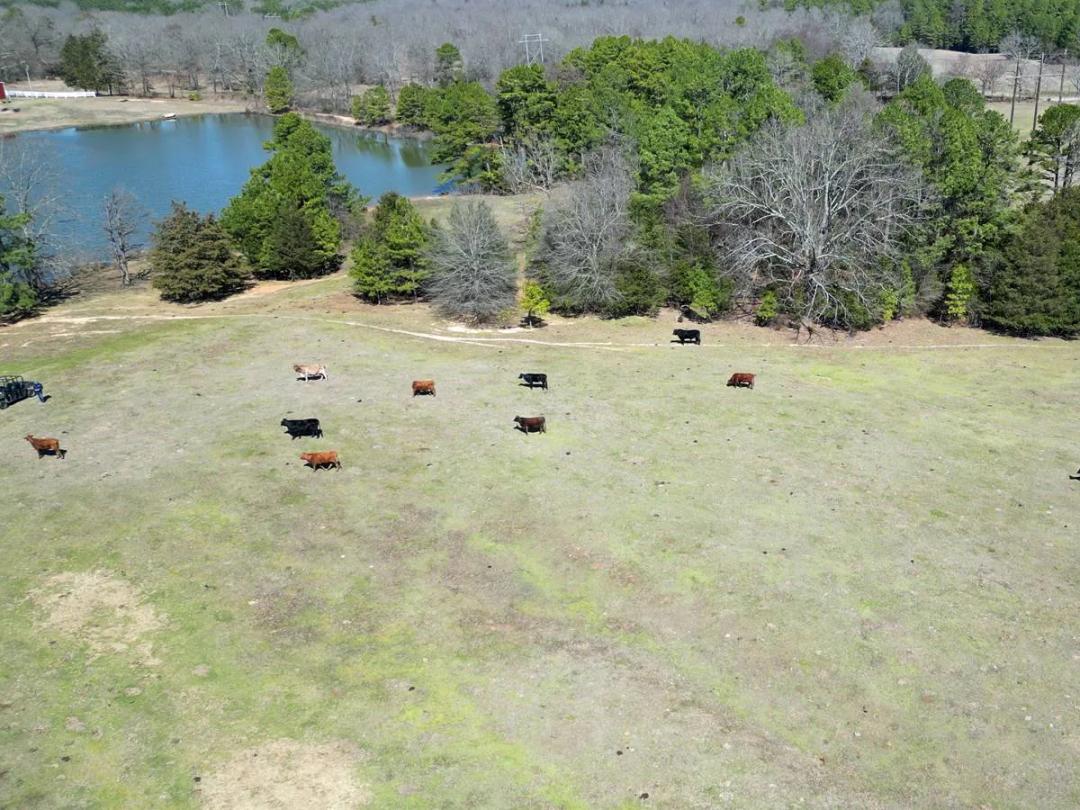 173 Acres Carper Hunting Ranch For Sale, Antlers, OK